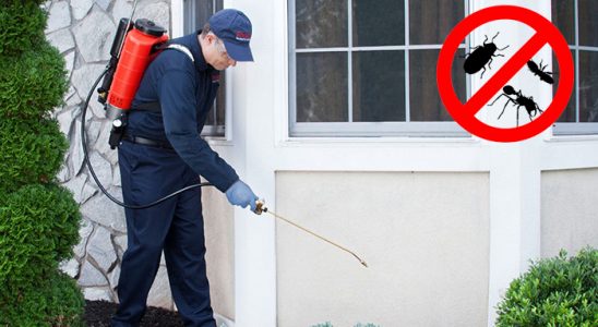 Karakeçili Hamam Böceği İlaçlama böcek ilaçlama ve haşere kontrolü — ilaclama-tr.com